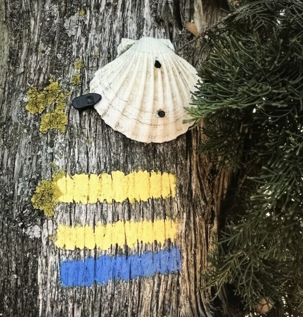 Leisure: you can make beautiful walks from our domain.